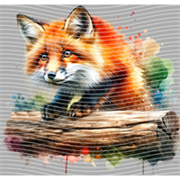 Animal Integration-DW 1901